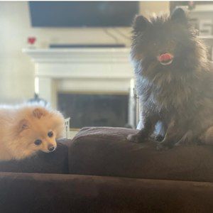 Meet your Posher, Mary jane